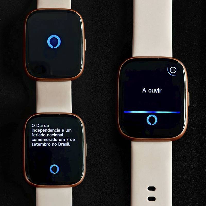 Smartwatch Pulse Wearzone 46mm